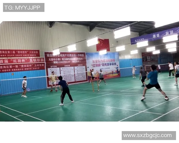 深圳羽毛球队的崛起与挑战揭秘羽毛球巨献的背后故事