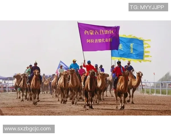 南非与安哥拉激战正酣比赛结果揭晓引发热议