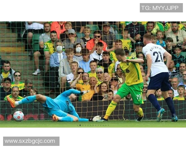 热刺与诺维奇精彩对决瞬间回顾图片集锦分享 热刺与诺维奇精彩对决瞬间回顾图片集锦分享