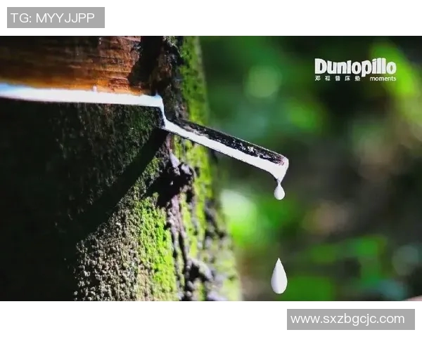 陈敏独家分享篮球心得与技巧助你提升球技的全面指南