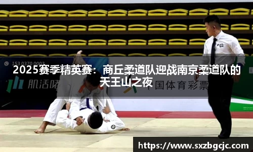足球高清无插件